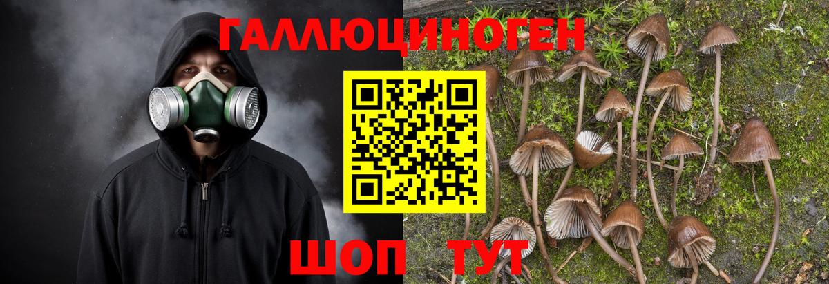 Псилоцибиновые грибы мицелий  Вход с VPN  Сыктывкар 